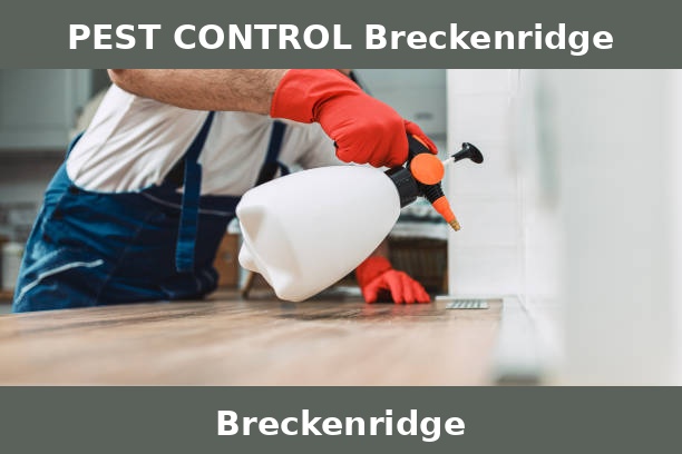 PEST CONTROL Breckenridge